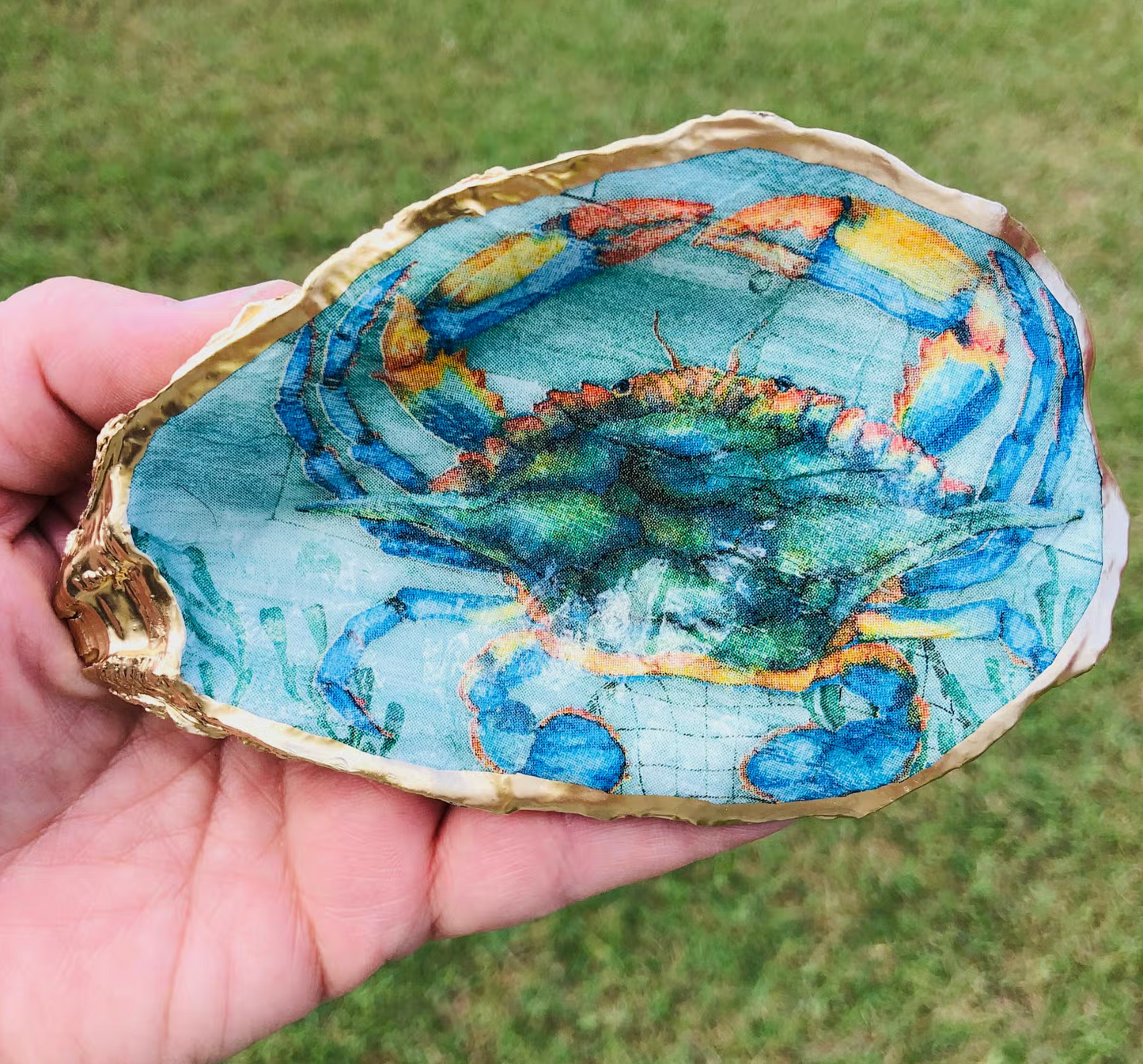 Oyster Shell Ring Dishes